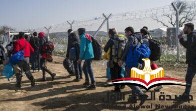 أبوالياسين: لـ حكومات الدول الوصم والتمييز ضد المهاجرين واللاجئين عمل غير إنساني