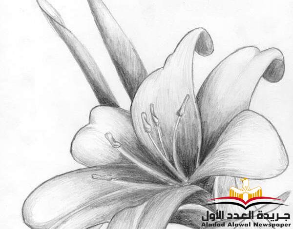 سوق الأقدار
