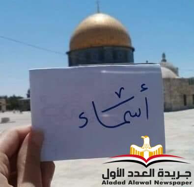 إلى صاحب الظل الطويل