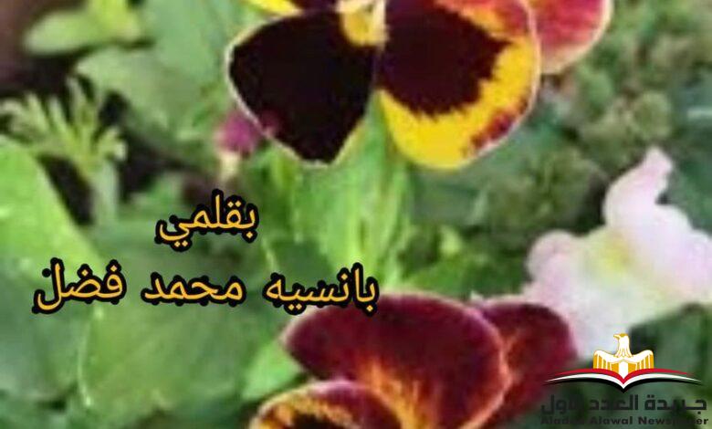 حديثُ النفس