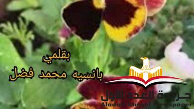 مذكرات عاشقة