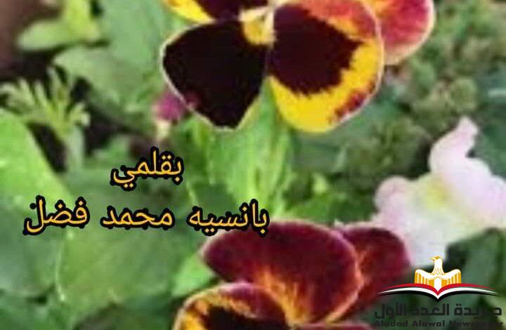 مذكرات عاشقة