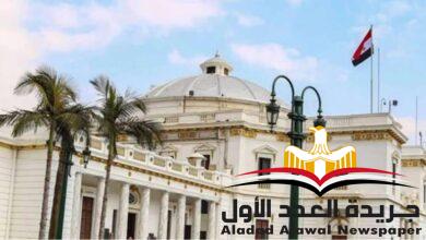 النحراوي لطارق شوقى.. إذا لم تحترم البرلمان المصري فعليك بالرحيل فور