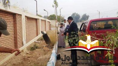 زراعة-40-ألف-و800-شجرة-بمدن-وقرى-محافظة-سوها