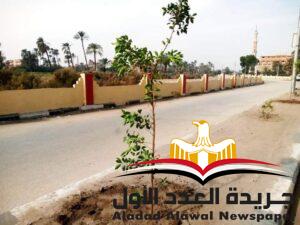 زراعة 40 ألف و800 شجرة بمدن وقرى محافظة سوهاج ضمن مبادرة "أحلي وهي خضرا"