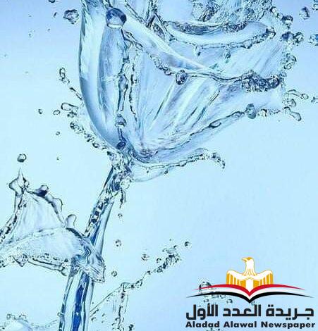 لأجل عينيكِ