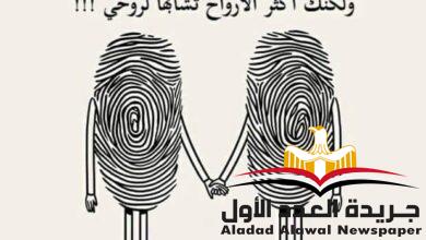 عود الأبنوس