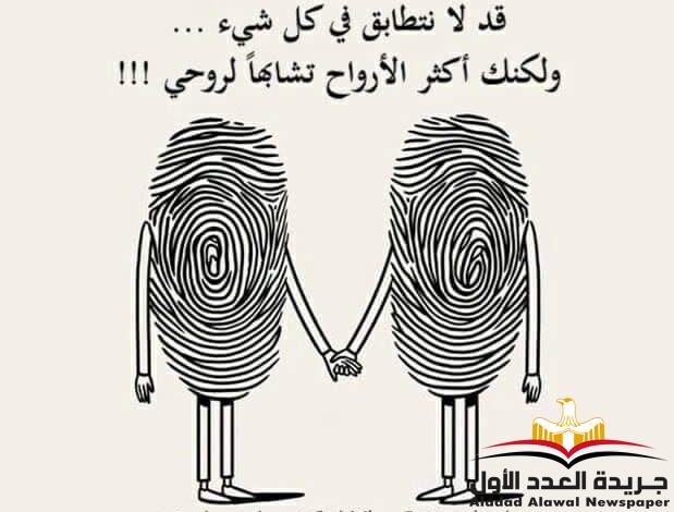 عود الأبنوس
