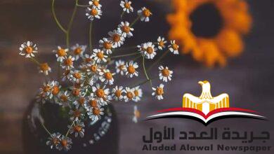 حديث نفس