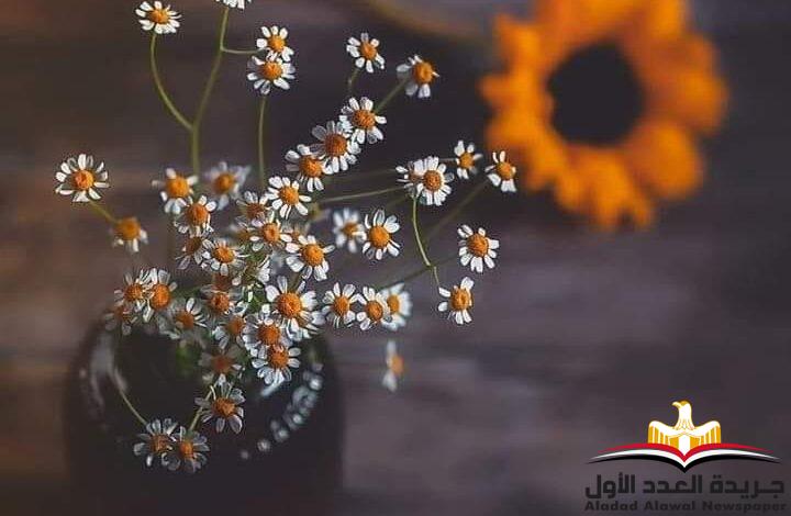 حديث نفس