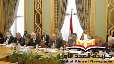 وزير الخارجية يفتتح اجتماع اللجنة الدائمة لمتابعة العلاقات المصرية الأفريقية
