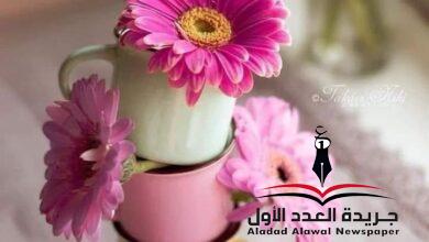حلمٌ صغير