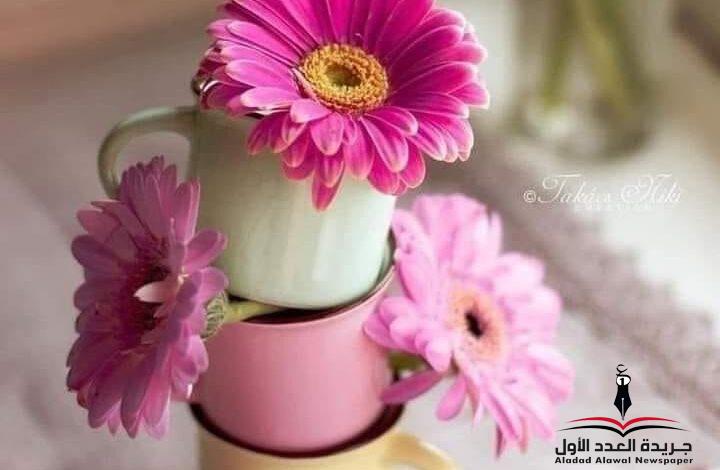 حلمٌ صغير