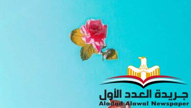 رسالات عزيز