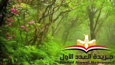 عتاب