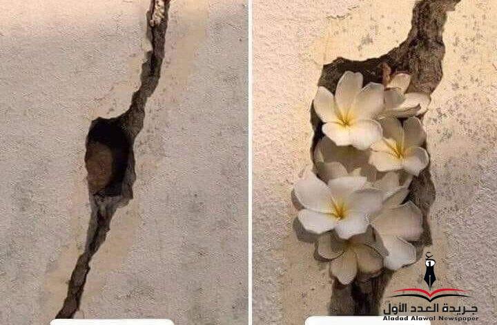 عامٌ مضى