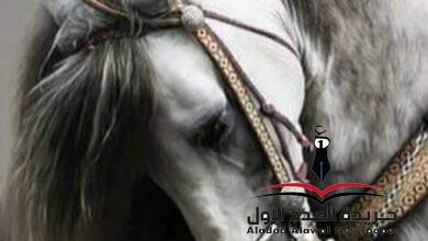 الذكريات
