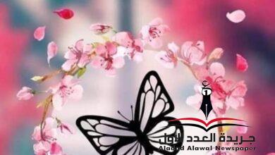 لا للتفاخر