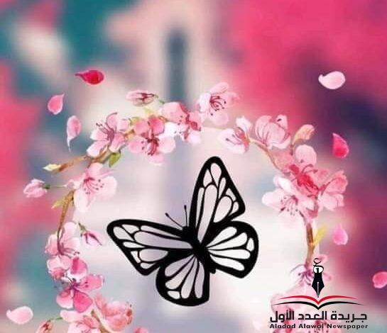 لا للتفاخر