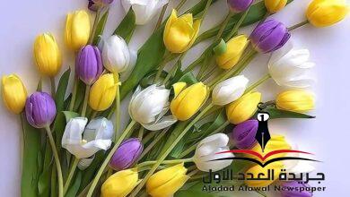 حبيبتي