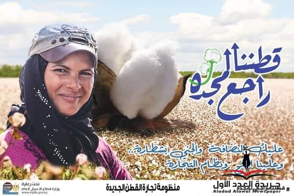 قرار لجنة منظومة تداول القطن بشأن المتأخرين عن توريد المحصول في المواعيد المحددة