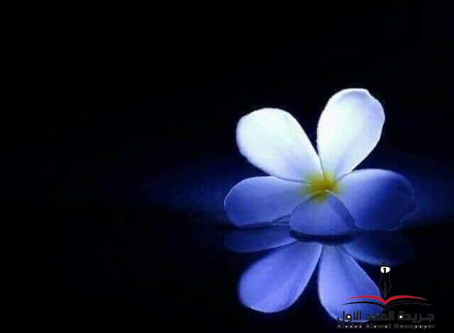 أعترف لك