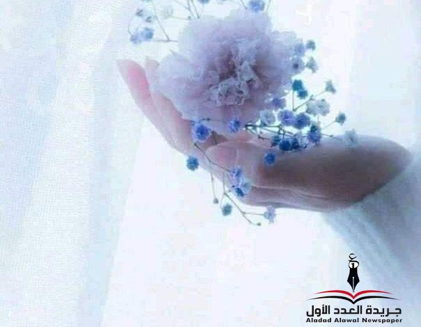 طفس اليوم