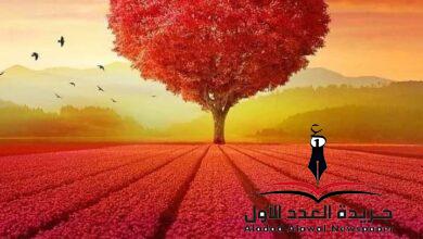 كيف وصلت للمجد
