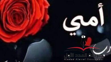 حضنك موطني