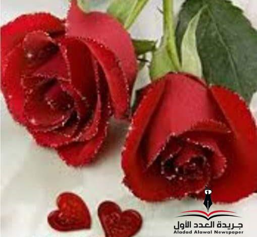 رائحة أمي