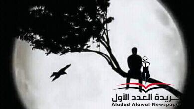 أبي