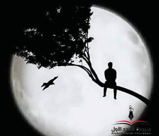 أبي