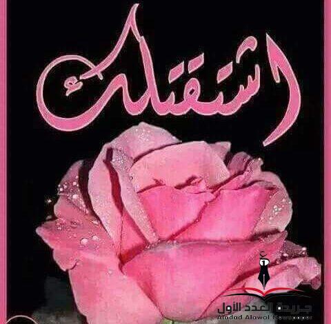 سألوني عن ليل العشّاق