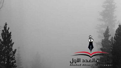 فتحت ستاير العمر