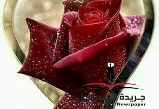 من أنت؟!