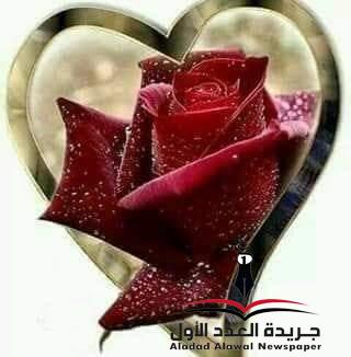 من أنت؟!