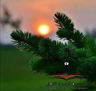 النجاة