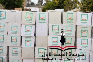 توزيع 65 ألف كرتونة مواد غذائية ضمن « حياة كريمة» بقنا