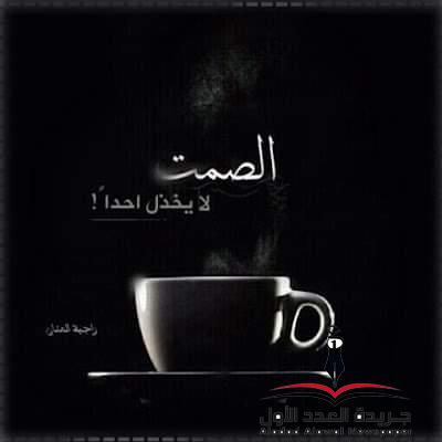 بيني.. وبين الصمت