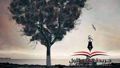 حنين