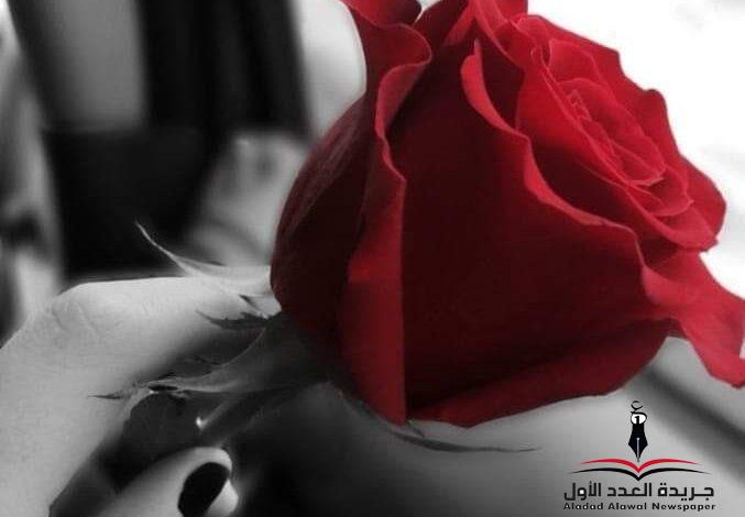 تعلمتُ