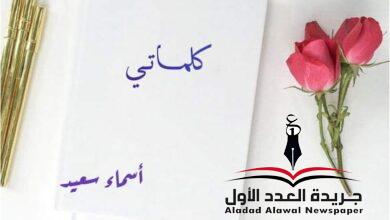 عن البر