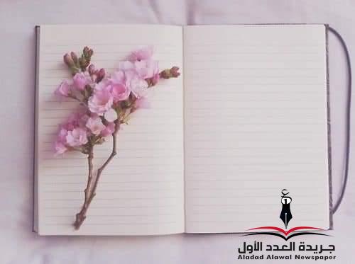 إلى العزيز حلم