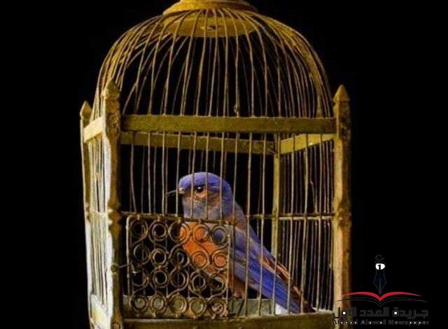 عندما تأتي في غير الأوان