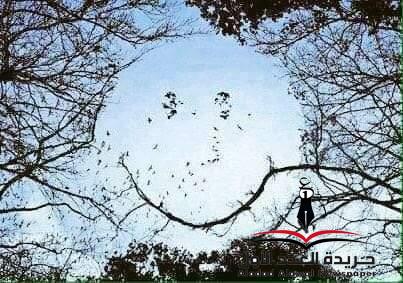 قوة الإرادة