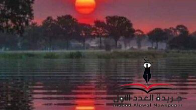 الوصية