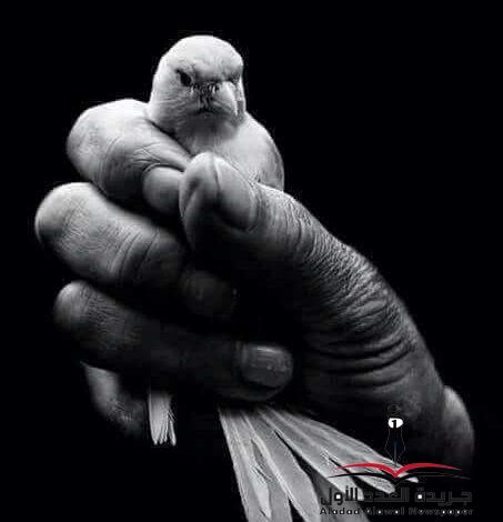 غصة