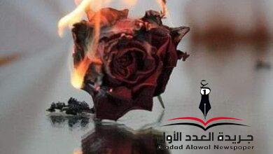 وأد في حياة
