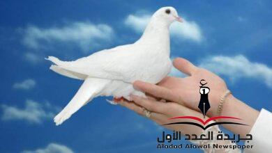 ثغر الحمامة