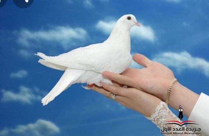 ثغر الحمامة
